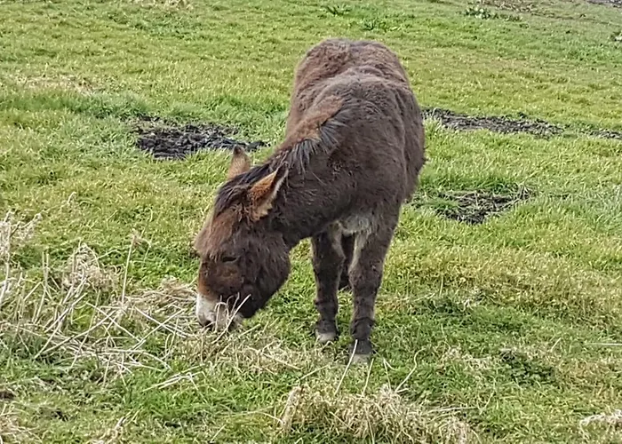 7 Court Holiday home Doolin